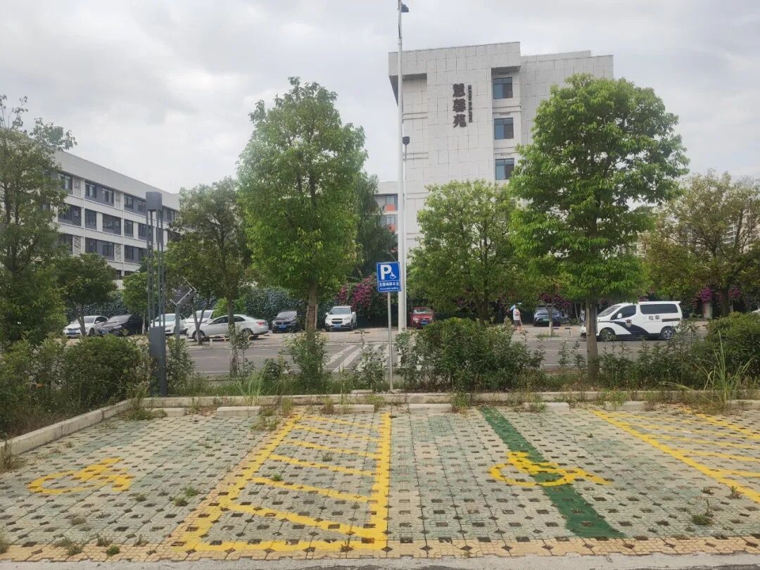 QQ图片20240902221437.jpg